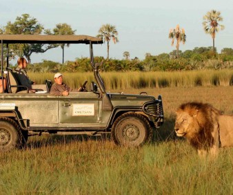 Botswana Wildlife game in a private visit